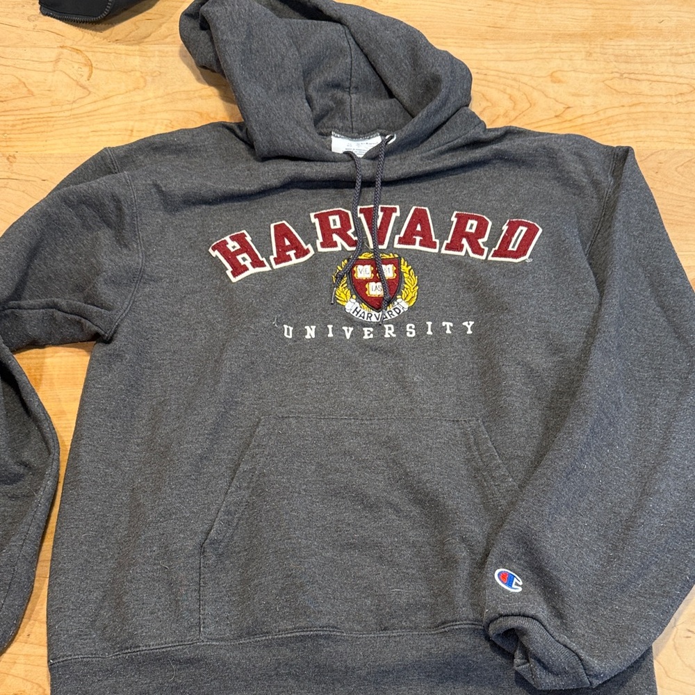 Champion Dark Gray Harvard Hoodie